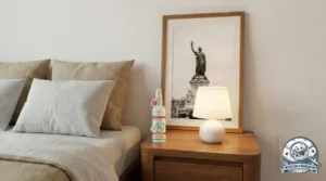 Flacon de spray préventif punaise lit posé sur une table de la marque SERENI-D